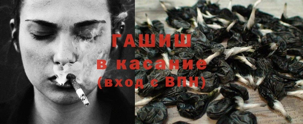 гидра Надым