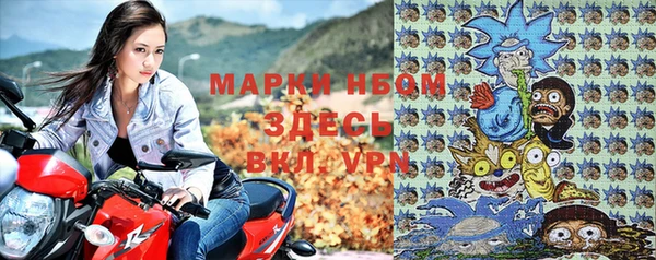гидра Надым