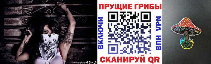 ссылка на мегу зеркало Северо-Курильск Псилоцибиновые грибы Psilocybe как найти наркотики